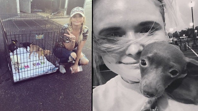 Miranda Lambert saves dozens of animals after Hurricane Harvey