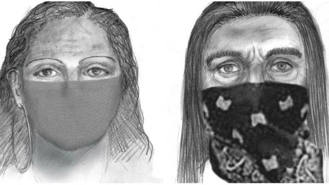 911 call, suspect sketches released in Sherri Papini case