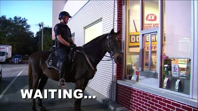 Police horse at the Krispy Kreme drive-thru in Tampa