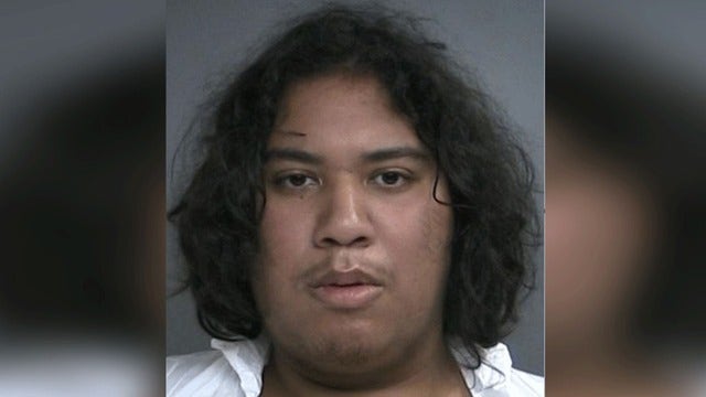 Teen stabs brother in neck during video game: Cops