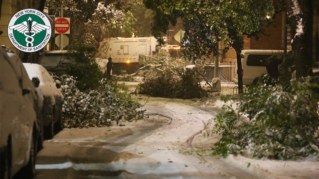 Snowstorm causes traffic nightmare, downs trees in New York area