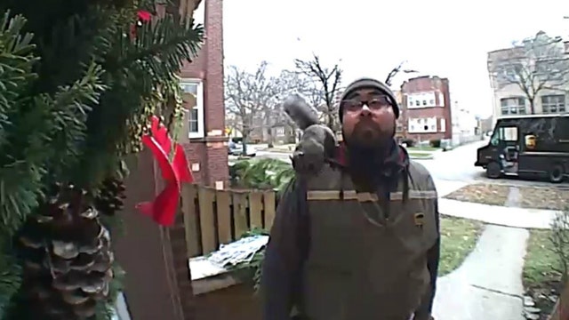 Squirrel jumps on UPS driver's shoulder