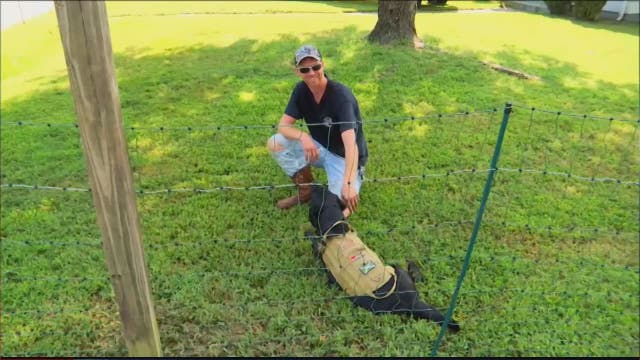 Man erects electric fence to keep school kids out of yard