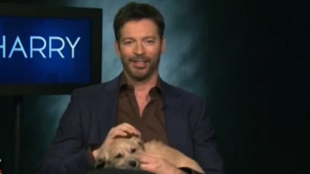 Talking to Harry Connick, Jr. about 'Harry' - 2/7