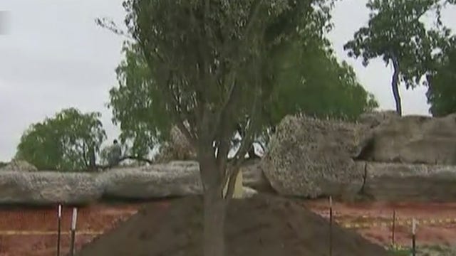 Georgetown calling for volunteers for tree-planting event Feb. 26