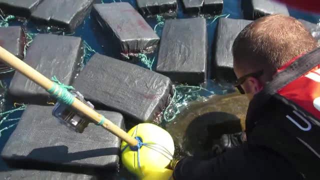 Turtle tangled in cocaine bundles freed by U.S. Coast Guard crew