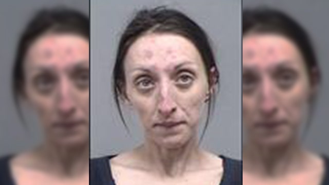 Sheriff: Woman broke into home, sat on couch, petted family dog, washed dishes, then left