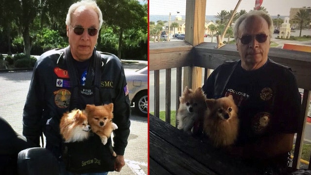 Vietnam veteran dies before being reunited with stolen service dog