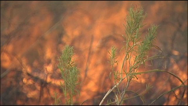 What are the wildfire risks for the Texas Hill Country?