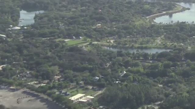 Zookeeper bitten by tiger at ZooMiami