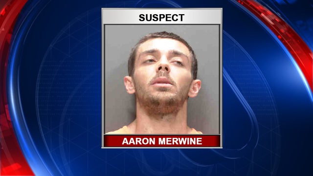 Venice man used tile scraper to injure Chihuahua, named 'Lucky,' deputies say