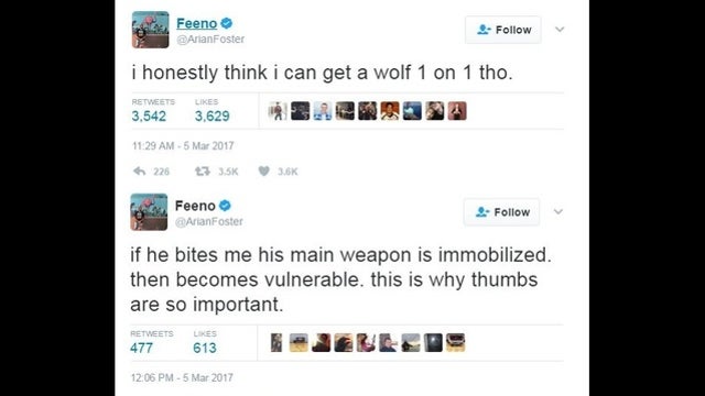 Arian Foster vs. wolf? Minnesota experts say not so fast