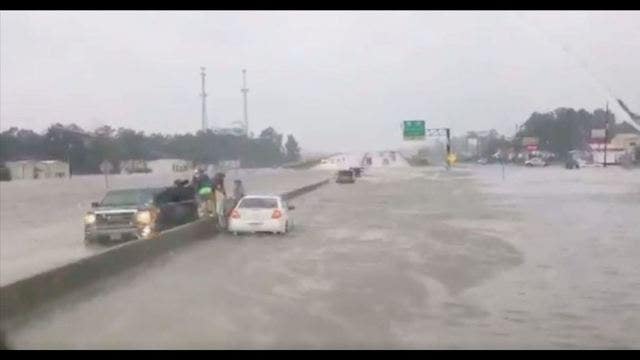 Harvey horror: Shivering toddler found clinging to drowned mom