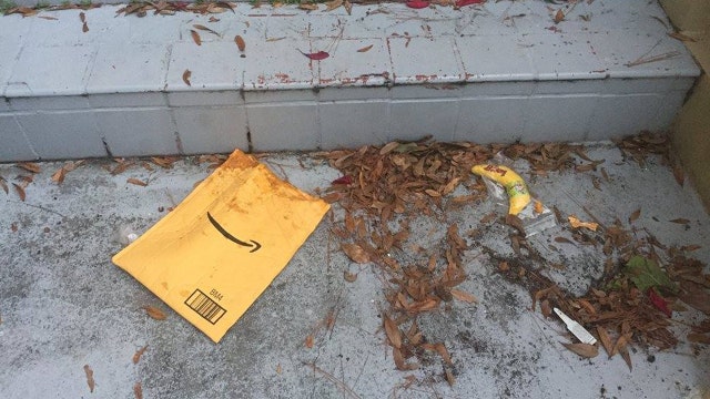 WATCH: Neighborhood cat steals banana catnip