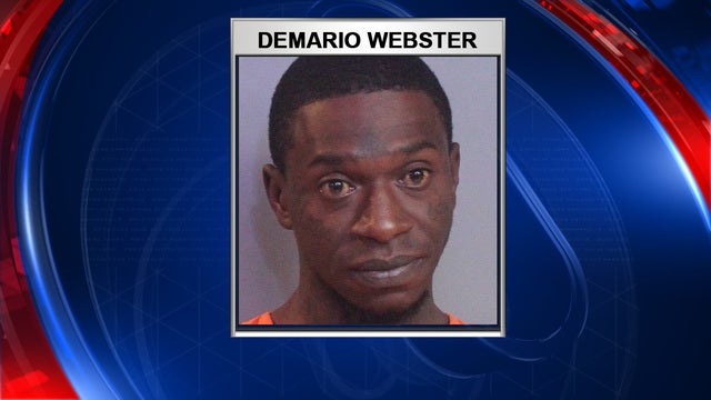 Suspect flees police, falls through ceiling and is captured