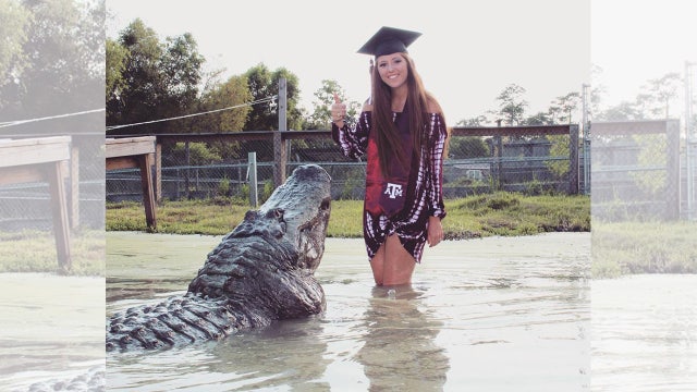 College student includes massive gator in graduation photos