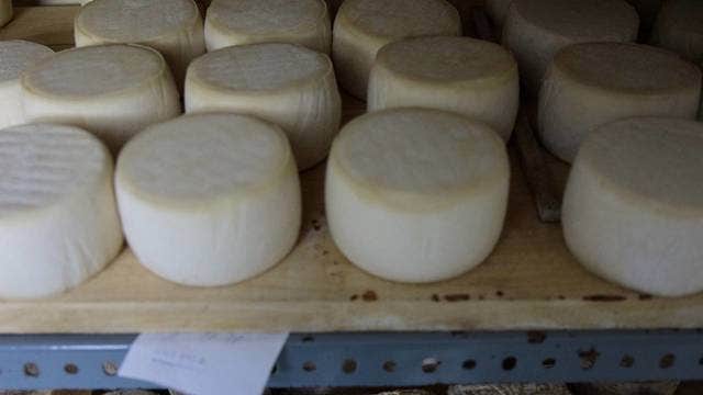 Artist constructing 'cheese wall' next to US-Mexico border 'to make a point'