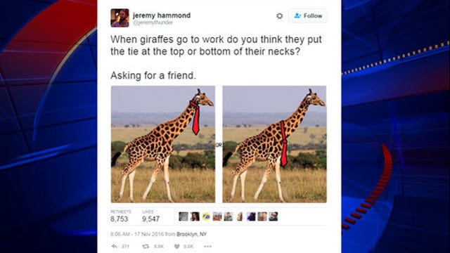 The internet is debating: Where would a giraffe wear a tie?