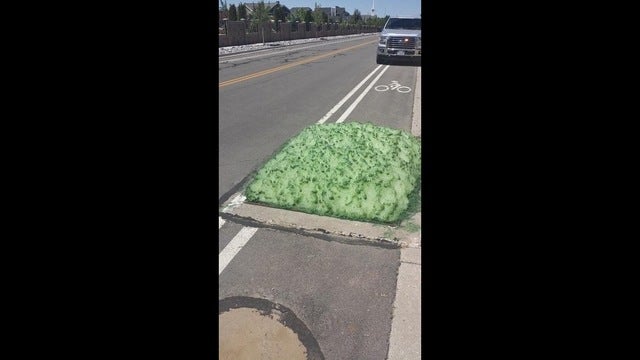 Yuck! Utah officials investigating weird green foam bubbling out of sewer