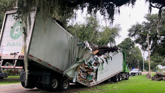 Publix truck nearly cut in half by falling tree