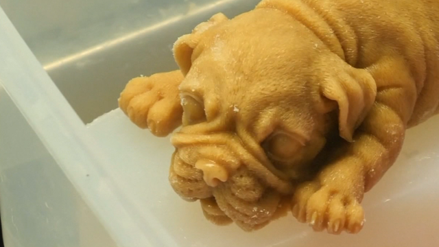 Ice cream that looks like real puppies