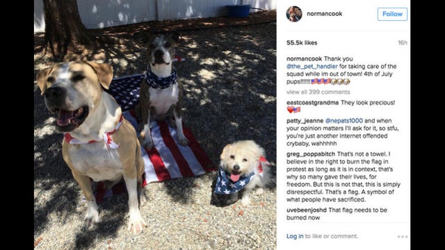 Kaley Cuoco sorry for picture of dogs sitting on US flag