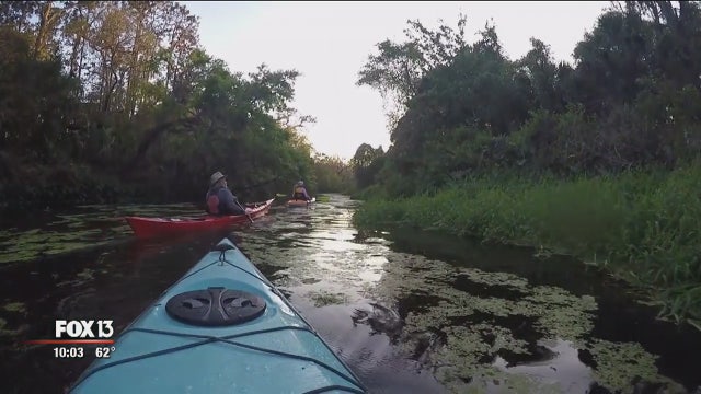 Kayaker attacked by possibly-rabid otter