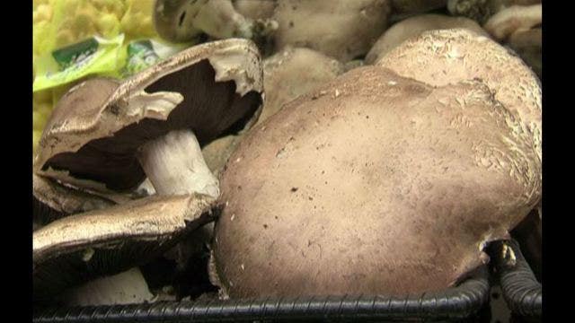 Eating magic mushrooms can clear up depression, researchers say