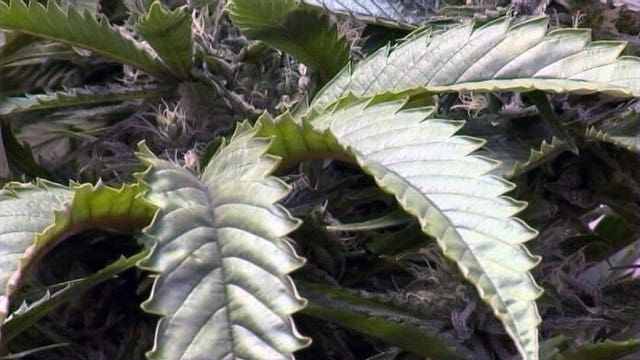 Teacher let students smoke pot during class, police say