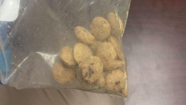Warren middle schoolers unknowingly ate pot-laced Cookie Crisp, hospitalized