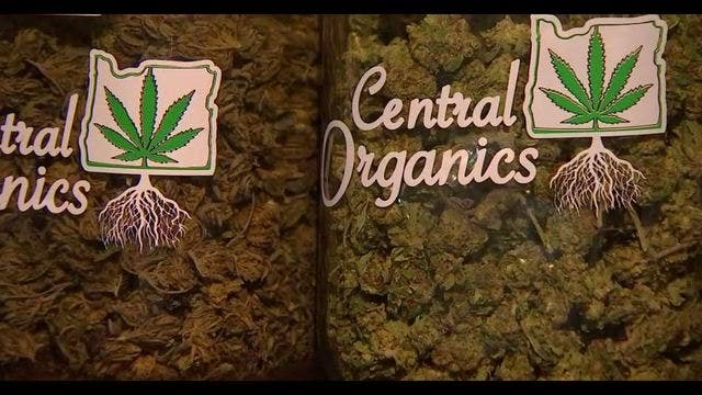 Pot business booming for shops in path of solar eclipse