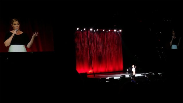 Video: Amy Schumer blasts Trump in Tampa show, drawing boos