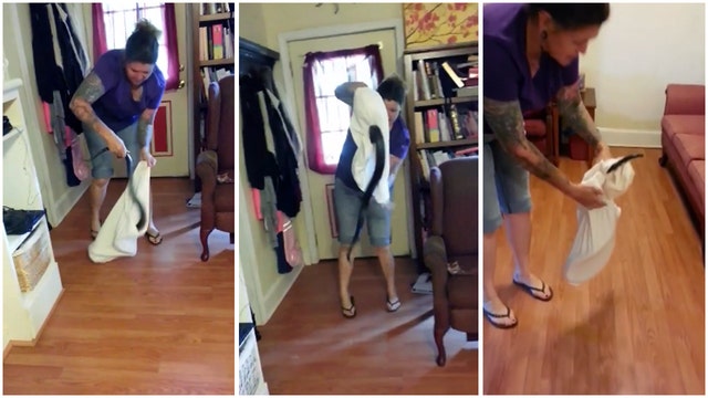 Not this house! NC woman removes snake from her living room