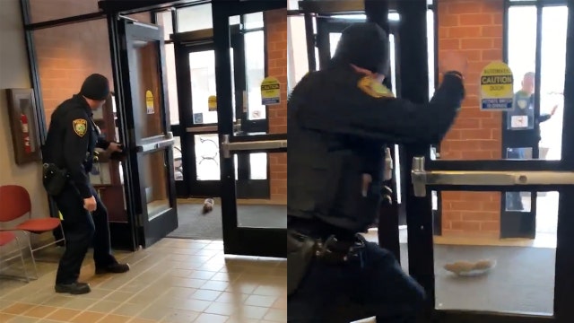 Officers try to evict squirrel from Illinois police department