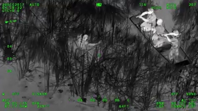 Man arrested in swamp had 'case of the stupids'