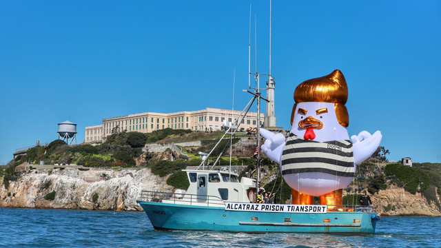 President Trump inflatable chicken sighted in bay waters near Alcatraz