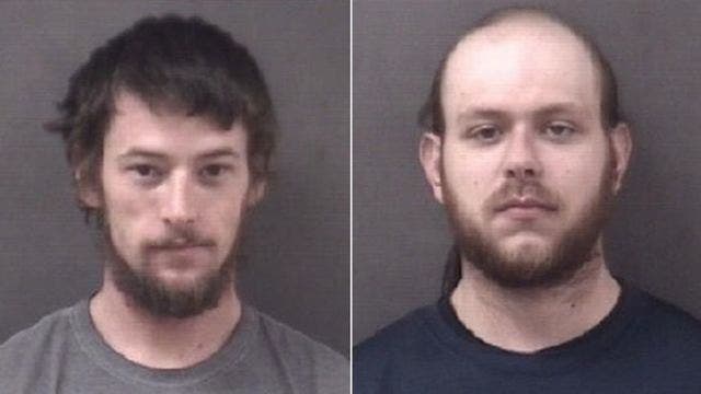 Man ripped 20 chickens' heads off during 'jealous rage', police say