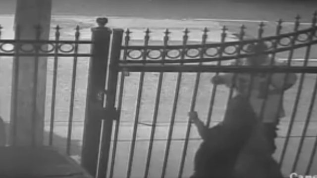 Video shows man stabbing family's fenced-in dog