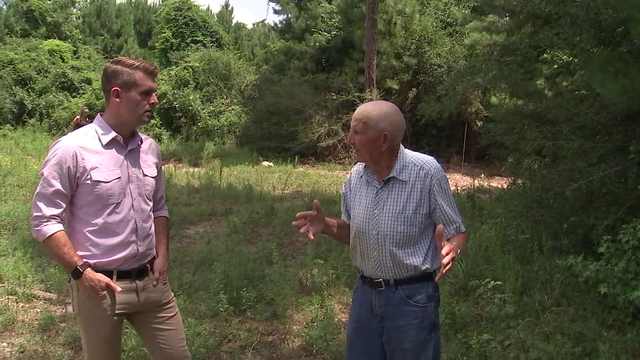 81-year-old man survives attack from hundreds of bees