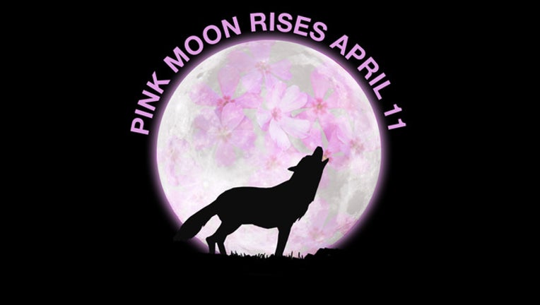 05b4649f-112119_Pink_Moon_Social_Media_1000x1000_002_1491871854934-404023.jpg