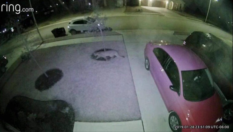 12919 MOUNTAIN LION LEANDER PD ES_1548804931932.jpg.jpg