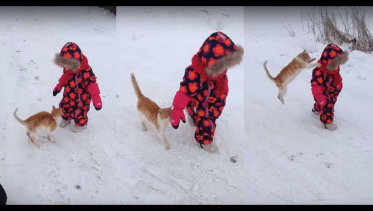 adcbb506-CAT WANTS TO BE PET_1449365740670-407068.jpg