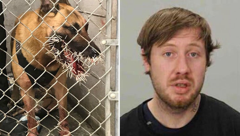 06df7a77-CCSO_k9 attacked and wanted man_042319 _1556039668359.jpg-403440.jpg