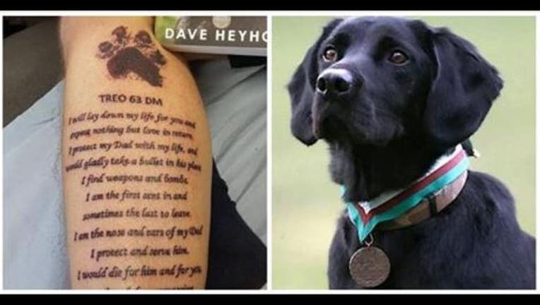 2fbef735-DogTat_1455573768858-408795.JPG