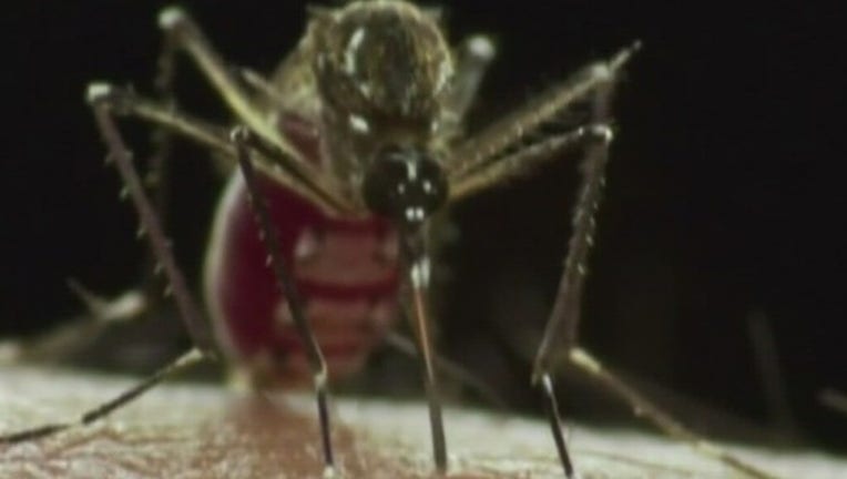 First_case_of_congenital_Zika_in_Travis__0_20170107033138