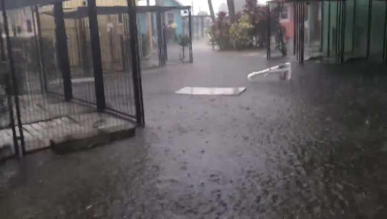 Flooded_pet_shelter_needs_fosters__forev_0_20181220162226-401385