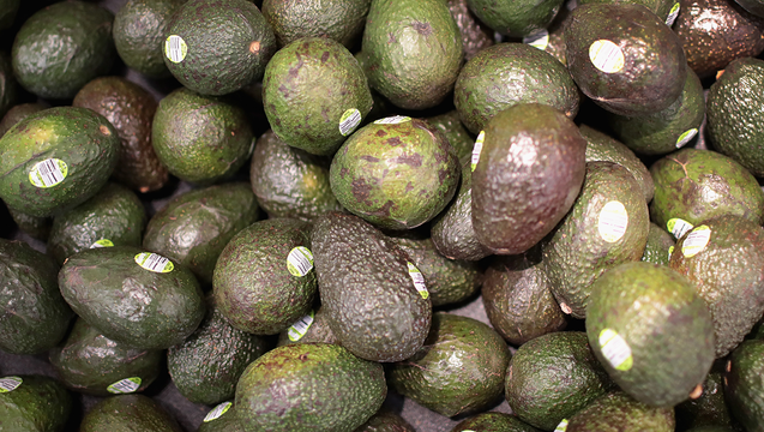 7fcc6a4c-GETTY_avocados_040119_1554131414901-402429.png
