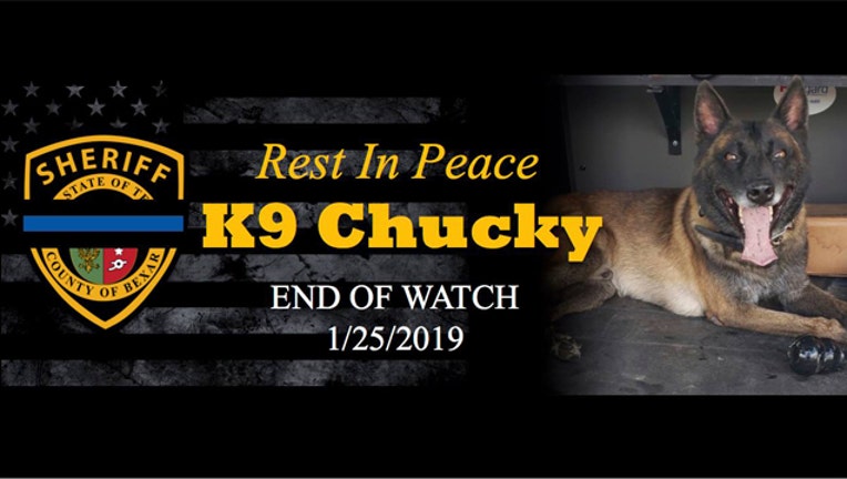 KTBC k9 Chucky_1548546405972.jpg.jpg