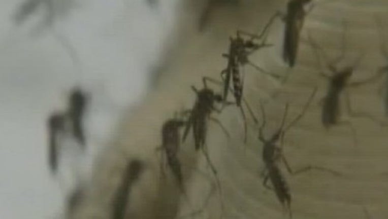 Mosquito_season_beginning_to_peak_0_20170809155305