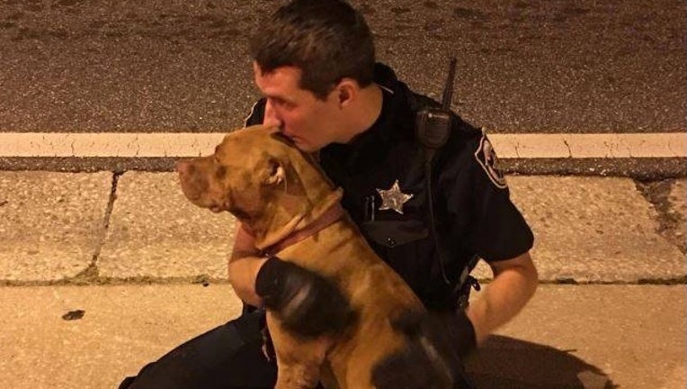 Officer Comforts Pit bull_1477672347430-401096.jpg